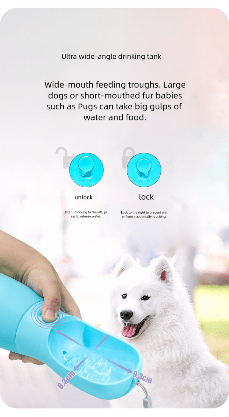 what-is-pet-water-bottle-everything-you-need-to-know